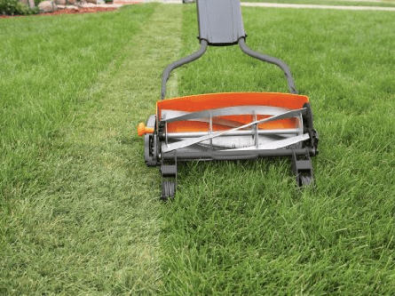 reel lawn mower3