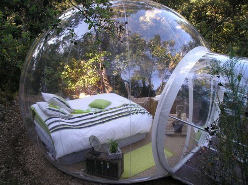 giant hamster bubble