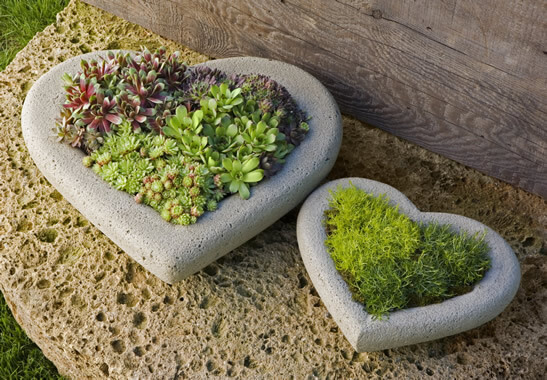 i heart planters