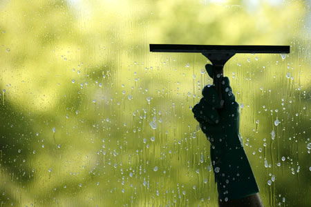 Wash The Windows