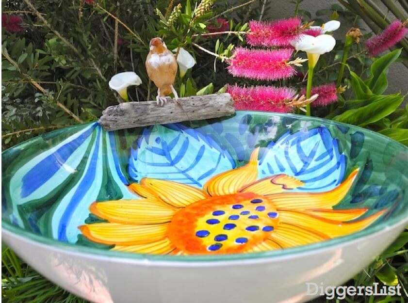 bird bath