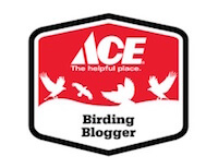Ace_Birding_Blogger_Logo