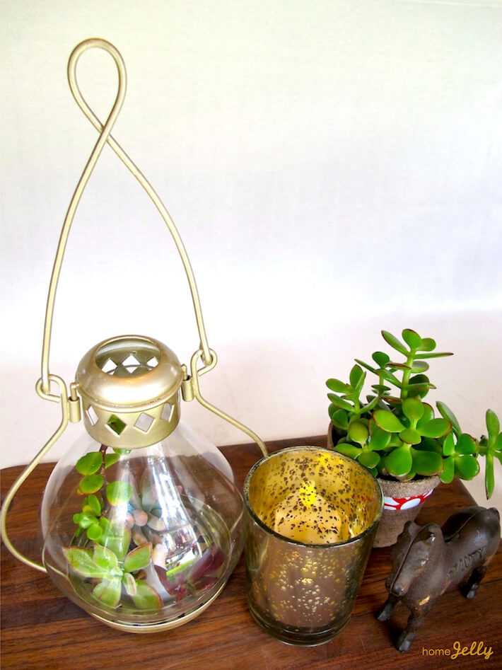 How To Make A Painted Lantern Succulents Terrarium HomeJelly