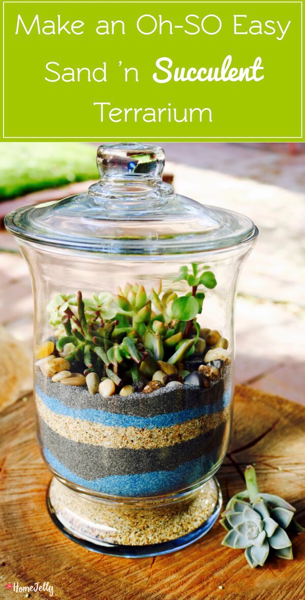 make-a-sand-n-succulent-terrarium