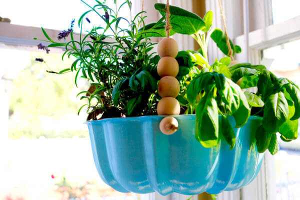 Bundt cake pans make great herb containers for the kitchen so cute