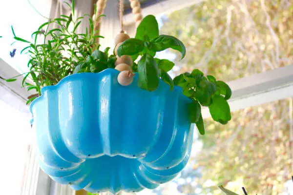 Drainage holes insure your herbs will be well-drained and happy!