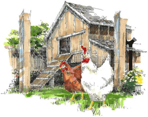 3 chickens sketch w easy