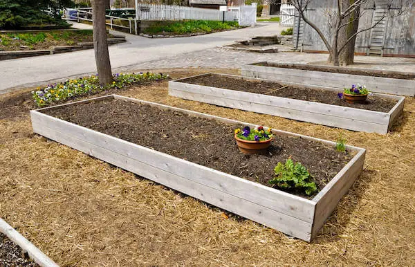 Prepare the location of your raised garden bed make sure that you put a wide-mesh material at its bottom frame
