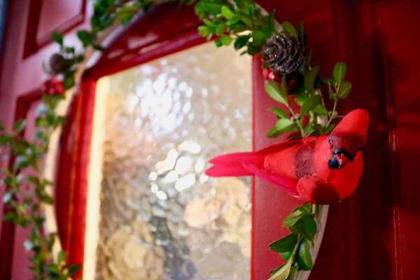 Close-up of cardinal 'n boxwood wreath