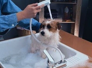 https://www.homejelly.com/wp-content/uploads/2010/09/single-handle-dog-washing-faucet1-e1341882063995.jpg