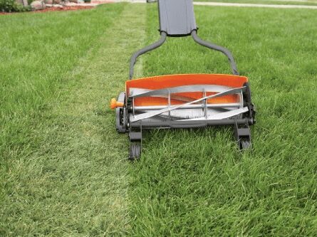 https://www.homejelly.com/wp-content/uploads/2011/05/reel-lawn-mower3-e1341864573422.jpg