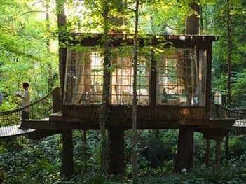 https://www.homejelly.com/wp-content/uploads/2011/06/ultimate-tree-friendly-tree-house-e1341857793731.jpg