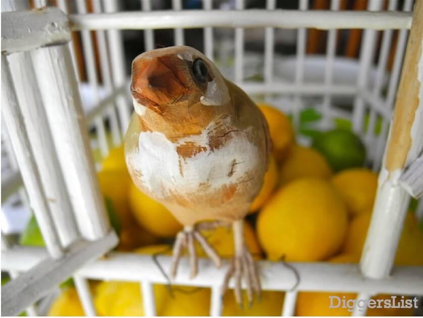 https://www.homejelly.com/wp-content/uploads/2012/04/birdhouse-and-lemons-and-limes.jpg