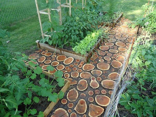 DIY Walkway Of Wood Slices - Shelterness