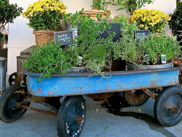 https://www.homejelly.com/wp-content/uploads/2012/09/Blue-wagon-planter-e1347389278737.jpg