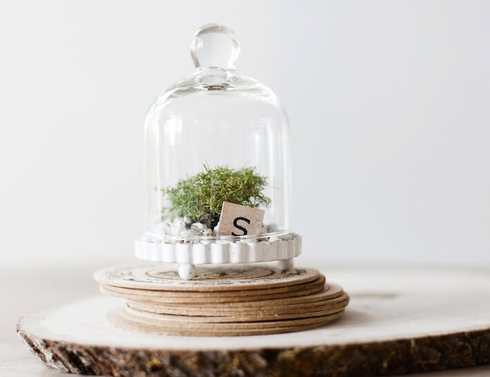 https://www.homejelly.com/wp-content/uploads/2013/04/Custom-terrariums.jpg