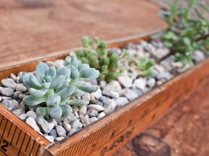 https://www.homejelly.com/wp-content/uploads/2013/08/Succulent-ruler-yardstick-planter-boxes-fature-photo-e1377216935271.jpg