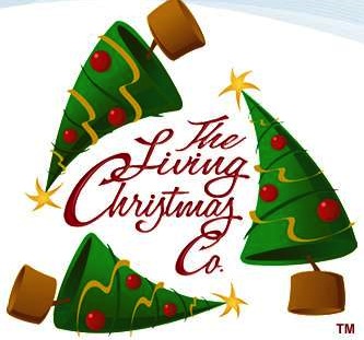 https://www.homejelly.com/wp-content/uploads/2013/12/living-christmas-company.jpg