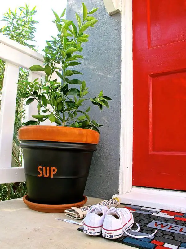 https://www.homejelly.com/wp-content/uploads/2015/03/Do-double-duty-with-an-edible-citrus-tree-potted-plant.jpg