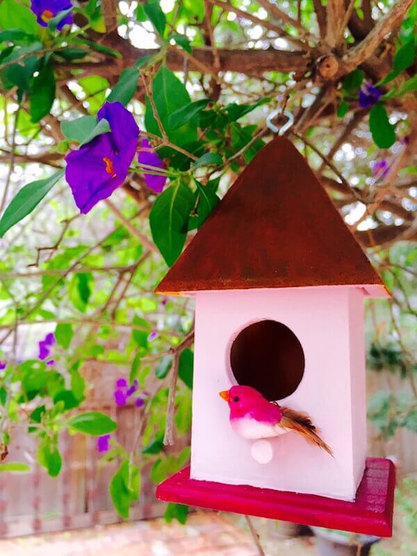 Rusted roof birdhouse plays sweetly in the trees.