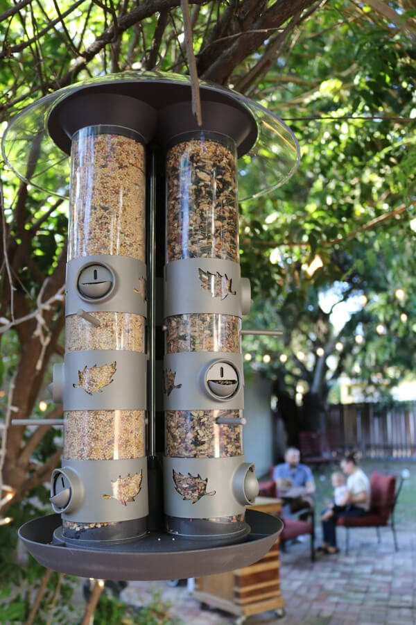 Perkey Pet Triple Tube Bird Feeder loaded and ready! Let the bird watching begin!