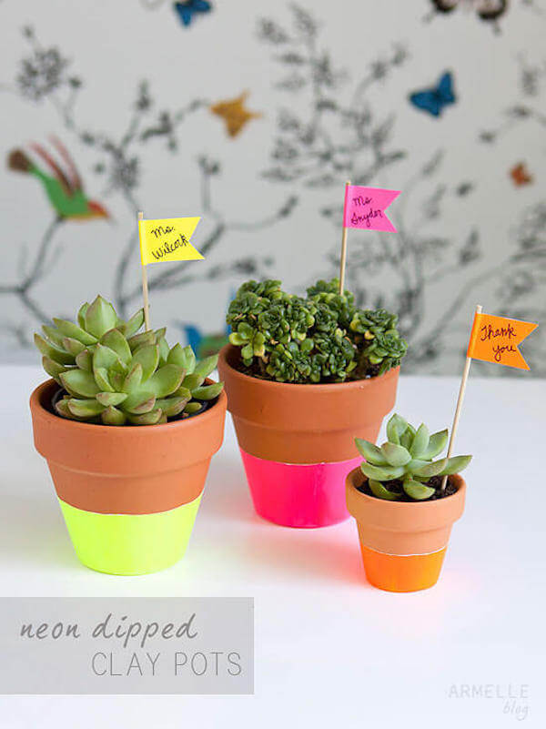 Succulents in DIY'd neon-dipped pots