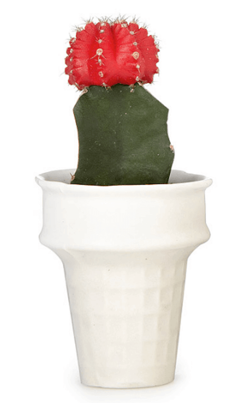 Ice Cream Cone mini planter