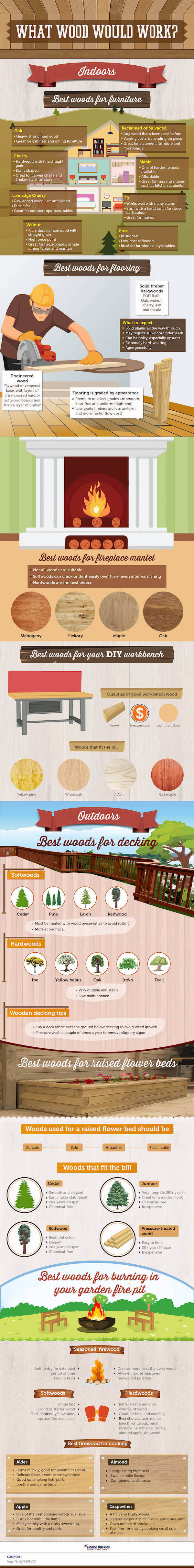 What Wood Would Work infographic