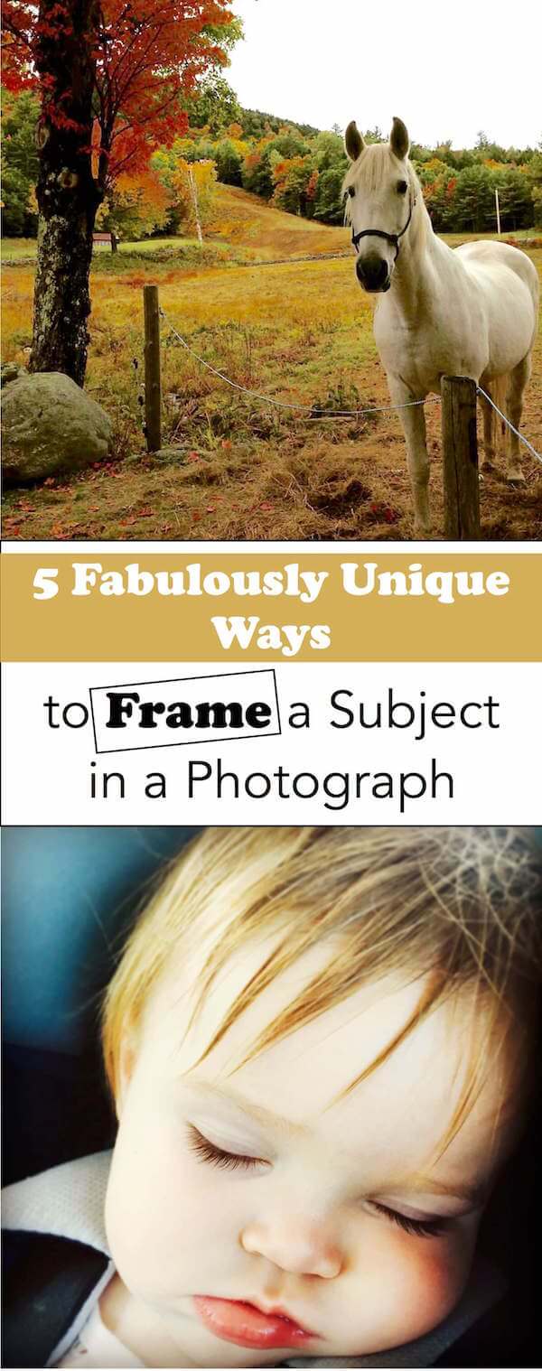 5 fabulous ways to frame a subject in a photograph banner