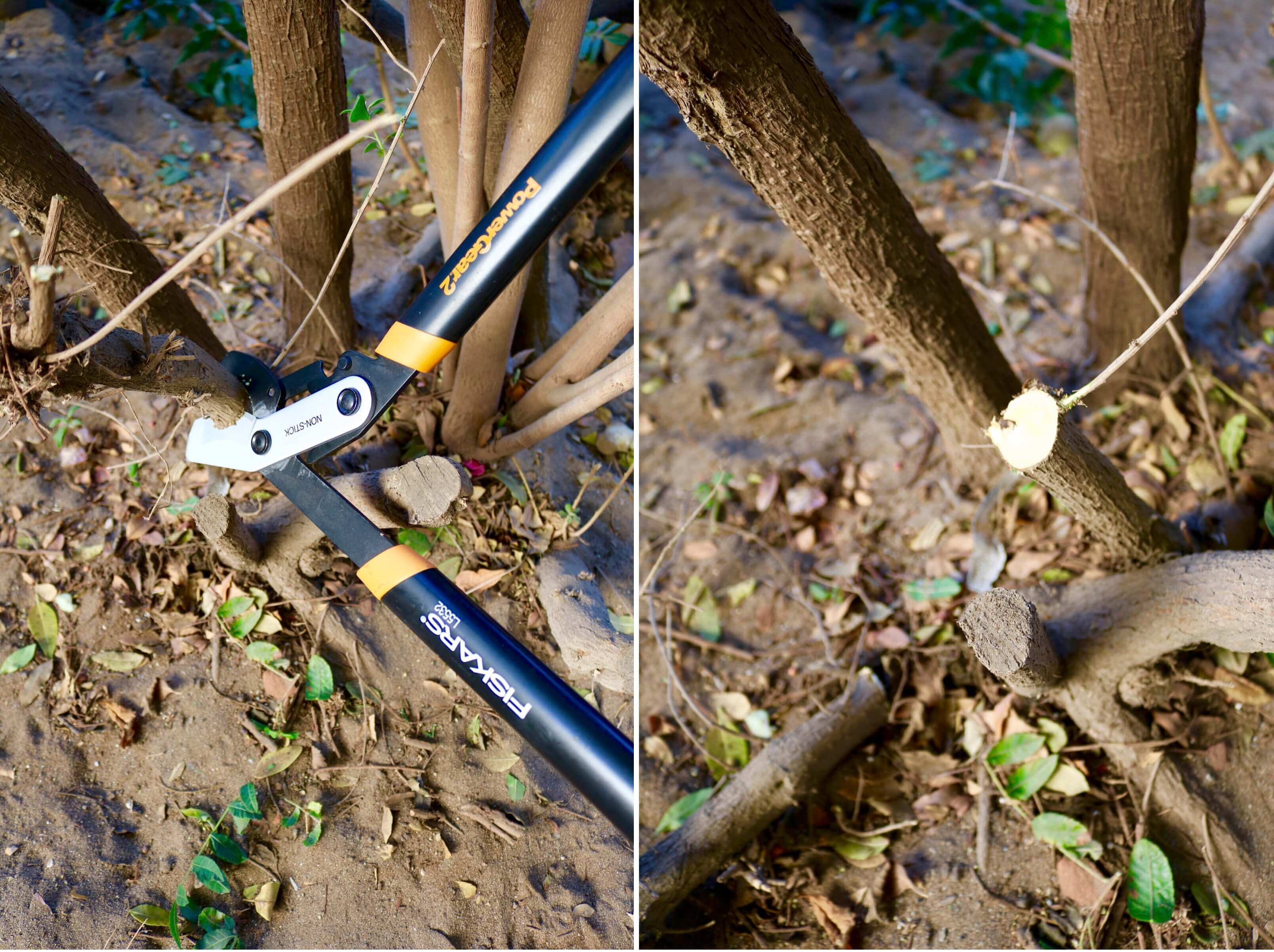 32" PowerGear2 Lopper cutting a thick branch with ease