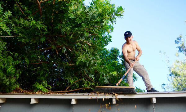 Sweep away leaves and tree debris from rooftops