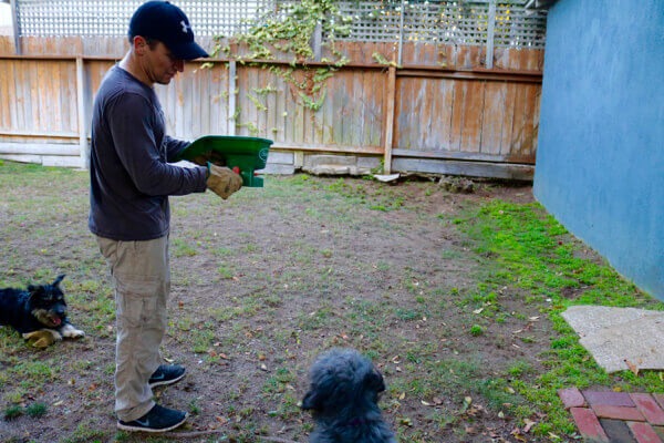 Seeding the lawn!