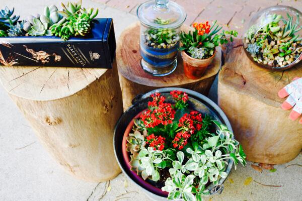 A plethora of planters