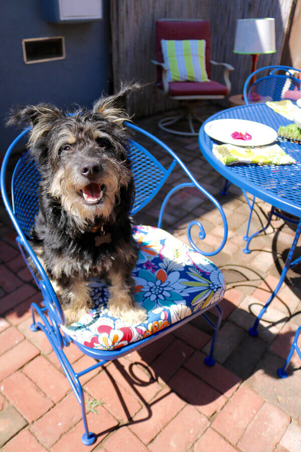 Bear-bear found his seat!