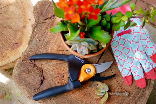 The Fiskars PowerGear2 Pruner is now my garden's best friend 2