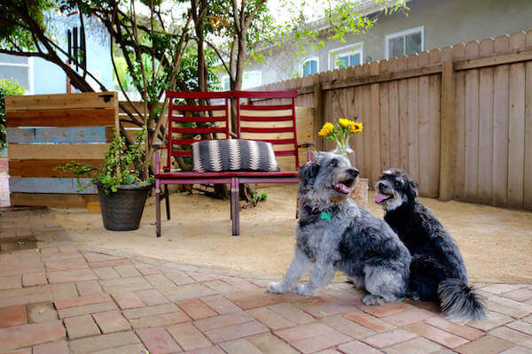 https://www.homejelly.com/wp-content/uploads/2017/04/Pups-n-Bench-on-decomposed-granite.jpg