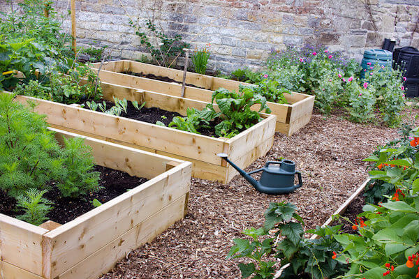 Fill the bed with nutrient-rich soil and be mindful of plant placement