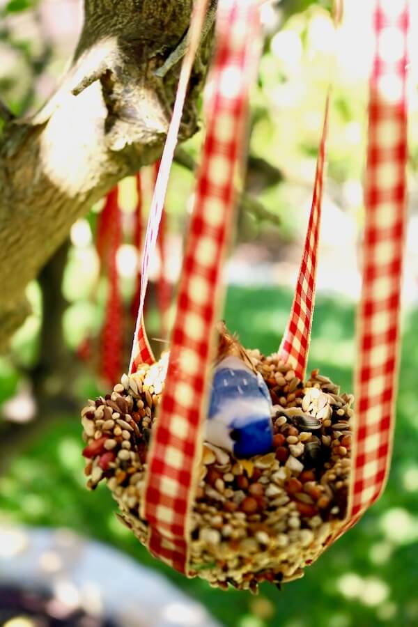 Fill your birdseed nest with even more birdseed for a real fledgling feast!