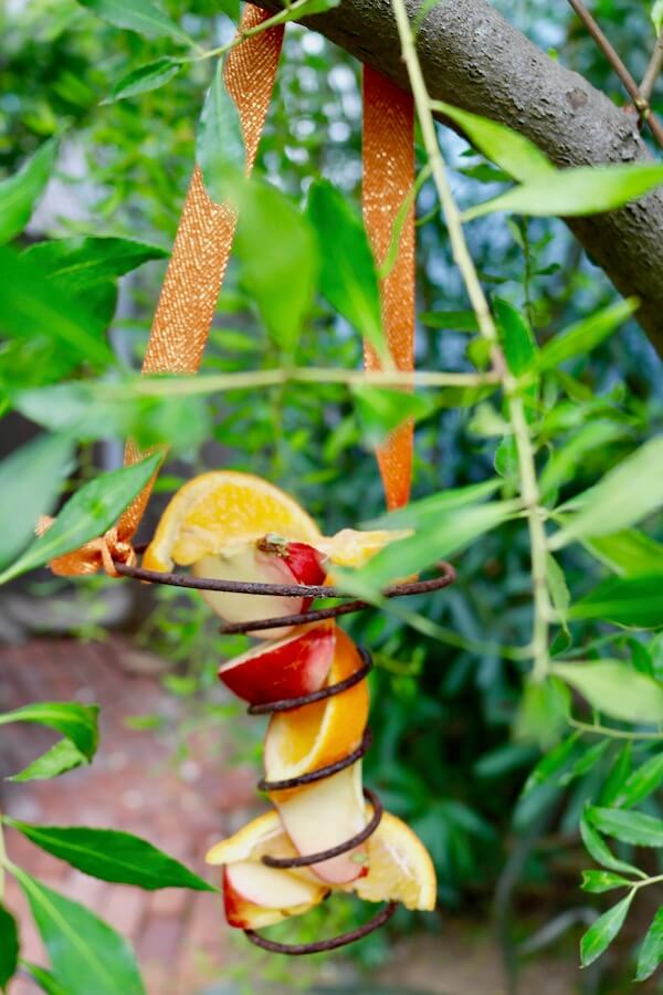 Vintage bed spring fruit feeder