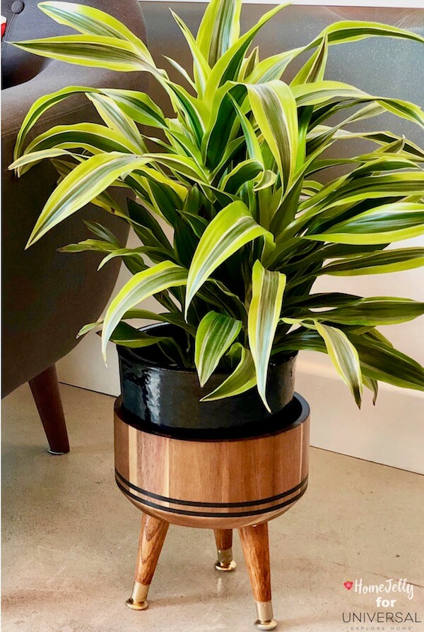 Mid-century modern planter stands tall and proud