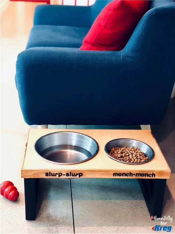 Modern doggie feeding station...check