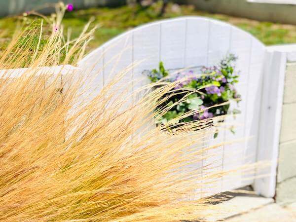 Finished garden gate looks so beautiful through grass